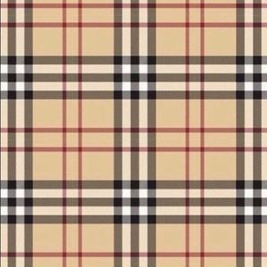 Meet your Posher, Gianna